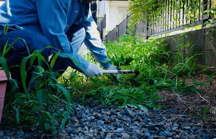 利用者様募集や家賃管理、物件のお手入れも当社が行います